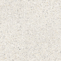 PORCELANOSA G397 TREVISO BLANCO LAP. L 120x120 (плитка для підлоги і стін)