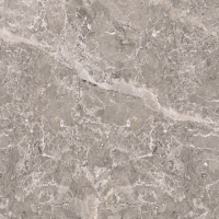 PORCELANOSA ELEGANT GREY PUL.L 120X120(A)