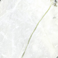 PORCELANOSA G2531 CALACATTA GREEN POLISHED 120x120