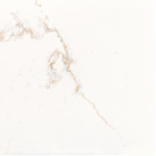 PORCELANOSA G347 PERSIA 59.6x59.6