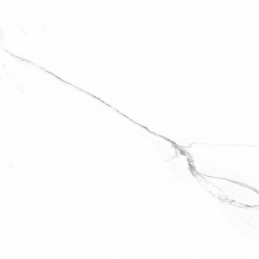 PORCELANOSA G354 ARTIC L 59.6x59.6 (плитка для підлоги і стін)