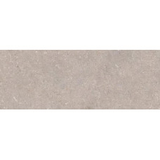 PORCELANOSA G270 CORAL TOPO 45x120 (плитка настінна)