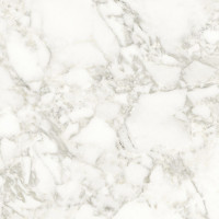 PORCELANOSA G395 DOLOMITI PULIDO 120x120 (плитка для підлоги і стін)