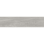 PORCELANOSA G340 SMART TANZANIA SILVER 22x90 (плитка для підлоги і стін)