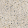 PORCELANOSA TREVISO BEIGE 80X80(A)