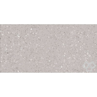 Lasselsberger Rako PORFIDO DASV1811 grey