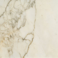 Fioranese Prestige Borghini Effect 74х74 R (0M3752R)