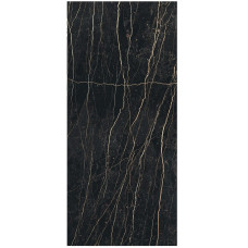 REX Prexious of Rex Thunder night 80X180 glossy 10mm (755820)