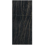 REX Prexious of Rex Thunder night 80X180 glossy 10mm (755820)
