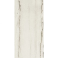 Rex Prexious White Fanta 120х240 Ret Glo (756285)