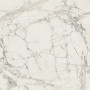 Rex Prexious Mountain Treasure 60x120 (755834)