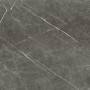 Rex Prexious Charming Amber 60x60 (755863)