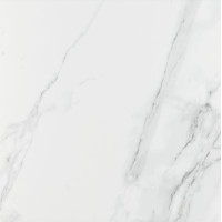 Prissmacer Ess. Venato Carrara 60,8*60,8