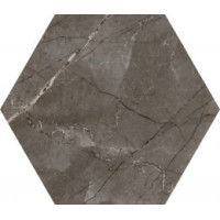 CODICER HEX PULPIS BRONZE