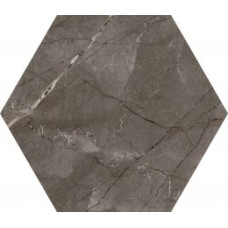 CODICER HEX PULPIS BRONZE