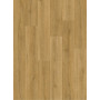 Quick-Step AVMP40238 Botanic smoked oak