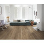 Quick-Step EL3579 Riva Дуб коричневый
