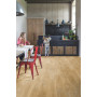 Quick-Step AVSP40039 Silk Oak dark grey