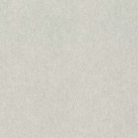 Rasch Raymond 957310