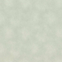 Rasch Raymond 957358
