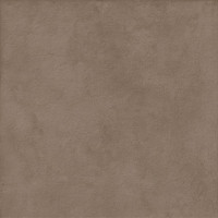 Atlas Concorde Raw Mud 120x120 9 мм (APMV)