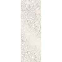 Paradyz RAY SILVER INSERTO 25X75 G1