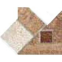 Ricchetti 0559793 VITRUVIUS IMPLUVIUM ANG.