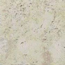 Ricchetti 0559406 VITRUVIUS IMPLUVIUM BI