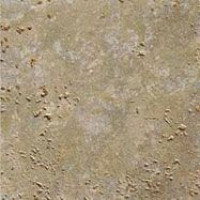 Ricchetti 0559408 VITRUVIUS HORTUS VE
