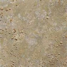 Ricchetti 0559408 VITRUVIUS HORTUS VE