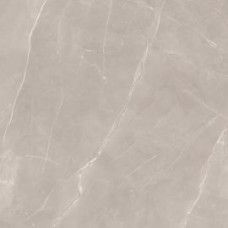 Paradyz My Way RITUAL TAUPE GRES SZKL. REKT. MAT 120X120 G1
