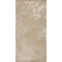Fiandre RocBeige120х60(AS50EX964)