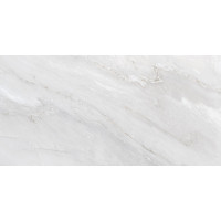 Rocersa OMBRA POL ICE 60x120 (плитка для підлоги і стін)