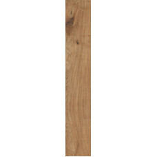 RONDINE GROUP J89457 TIMELESS NUT
