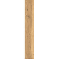 RONDINE GROUP J89455 TIMELESS HONEY