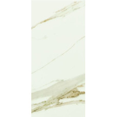 SAIME T860295 CAVE+ FORTE LUC RET