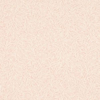 Rasch Salisbury 552355
