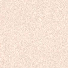 Rasch Salisbury 552355 Rasch Salisbury 552355