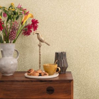 Rasch Salisbury 552362