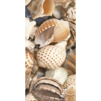Golden Tile Sea Breeze Е1142