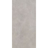 Paradyz SILKDUST LIGHT GRYS GRES SZKL. REKT. MAT. 59,8X119,8 G1