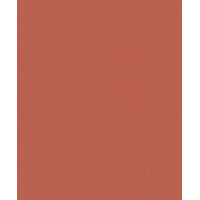 BN International Smalltalk 219210