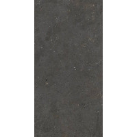 Fiandre SolidaBlackSemi-lucidato9мм120х60(GAB900N126009)