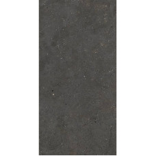 Fiandre SolidaBlackSemi-lucidato9мм120х60(GAB900N126009)