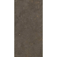 Fiandre SolidaBrown100х100(GAB600C100006)