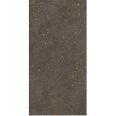 Fiandre SolidaBrown100х100(GAB600C100006)