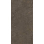 Fiandre SolidaBrown100х100(GAB600C100006)