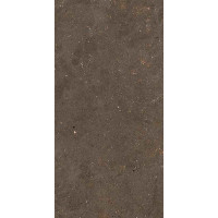 Fiandre SolidaBrown120x60(GAB600N126009)