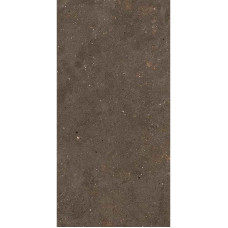 Fiandre SolidaBrown120x60(GAB600N126009)