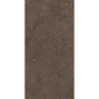 Fiandre SolidaBrown120x60(GAB600N126009)